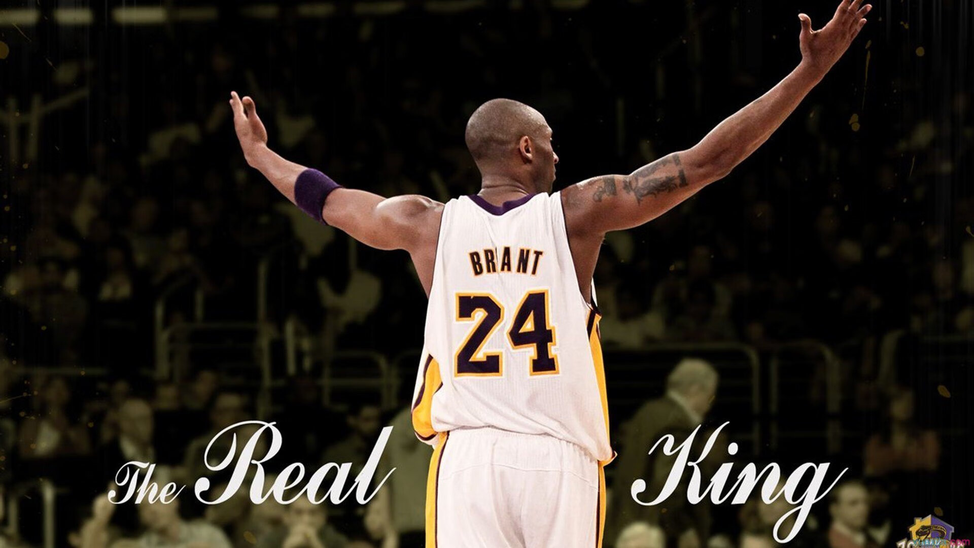 塔图姆赛事官方发布挺进下一轮新规，德国队争议不断！